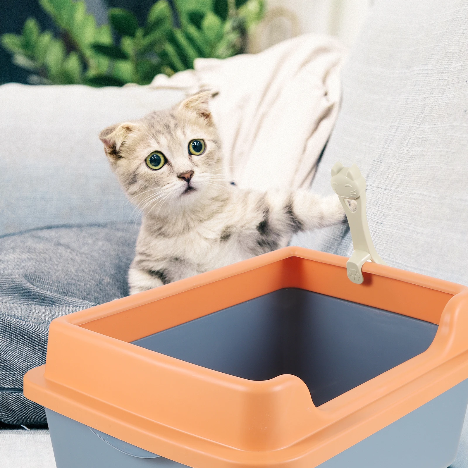 Semi-Enclosed Cat Box Small Spill Proof Odor Control Kitten Litter Pan Plastic Travel Tray for Home Bathroom Balcony for Cats
Semi-Enclosed Cat Box Small Spill Proof Odor Control Kitten Litter Pan Plastic Travel Tray for Home Bathroom Balcony for Cats
