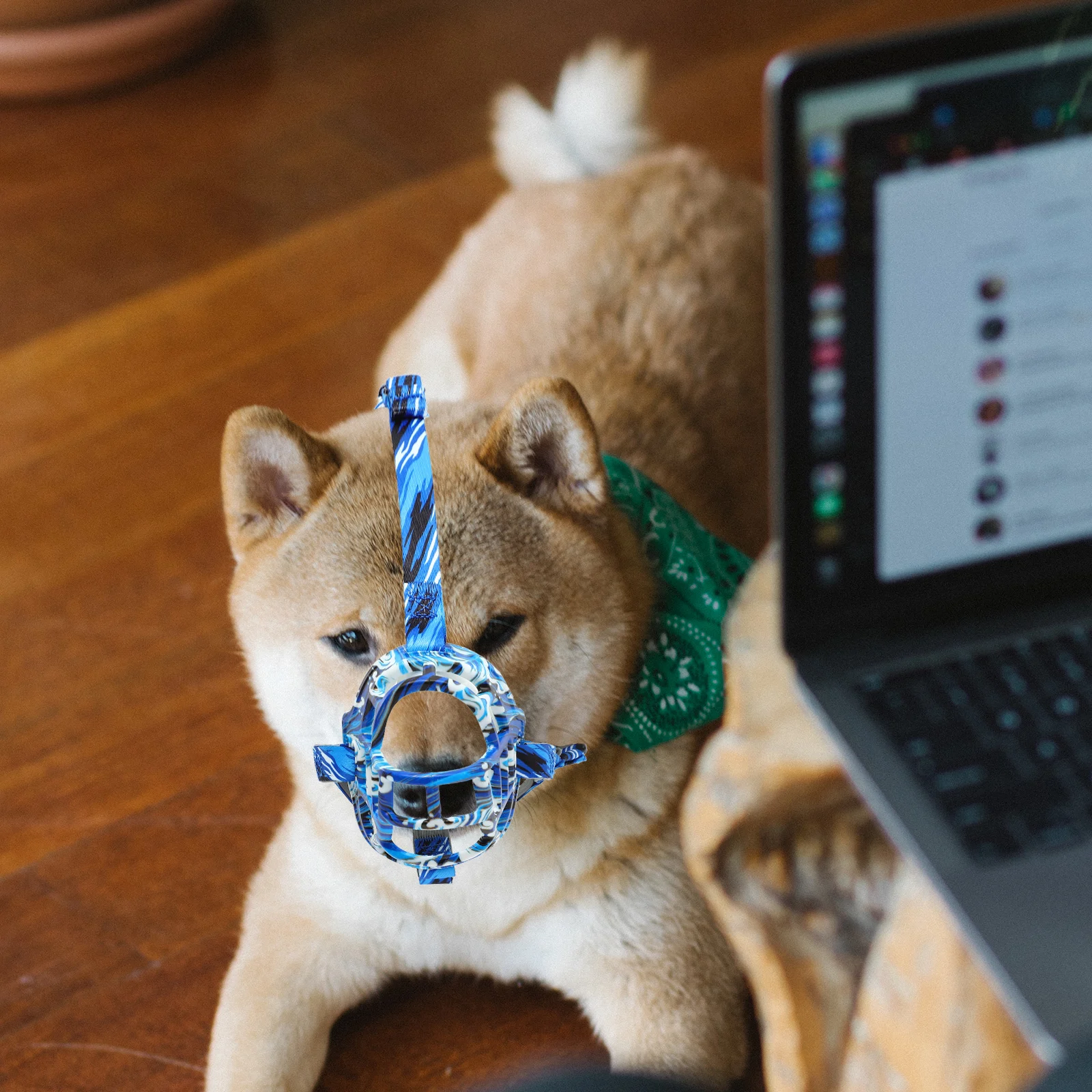 Durable Dog Muzzle Plastic Cage for Large Small Medium Dogs Prevent Biting Adjustable Safe Wear resistant Outdoor Pet Supplies 
Durable Dog Muzzle Plastic Cage for Large Small Medium Dogs Prevent Biting Adjustable Safe Wear resistant Outdoor Pet Supplies