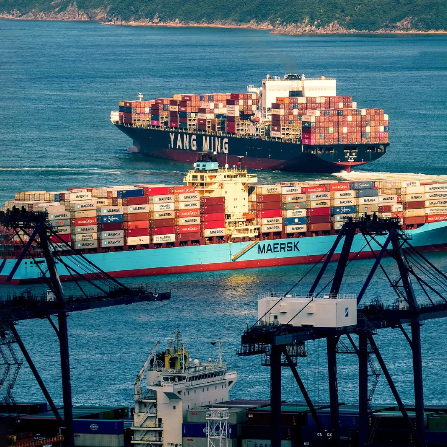After Negotiation, Pay the Shipping Fee, Make Up for the Difference
After Negotiation, Pay the Shipping Fee, Make Up for the Difference