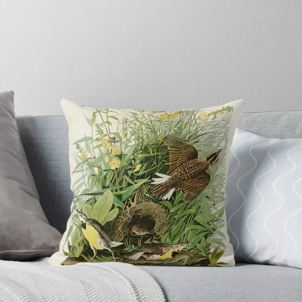 Meadow Lark - John James Audubon Birds of America Throw Pillow Cushion Cover For Sofa luxury decor pillow
Meadow Lark - John James Audubon Birds of America Throw Pillow Cushion Cover For Sofa luxury decor pillow