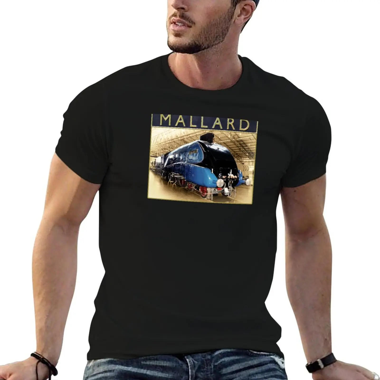 LNER A4 Mallard and Nameplate T-Shirt anime t shirts custom shirt shirts graphic tees plain t shirts men
LNER A4 Mallard and Nameplate T-Shirt anime t shirts custom shirt shirts graphic tees plain t shirts men