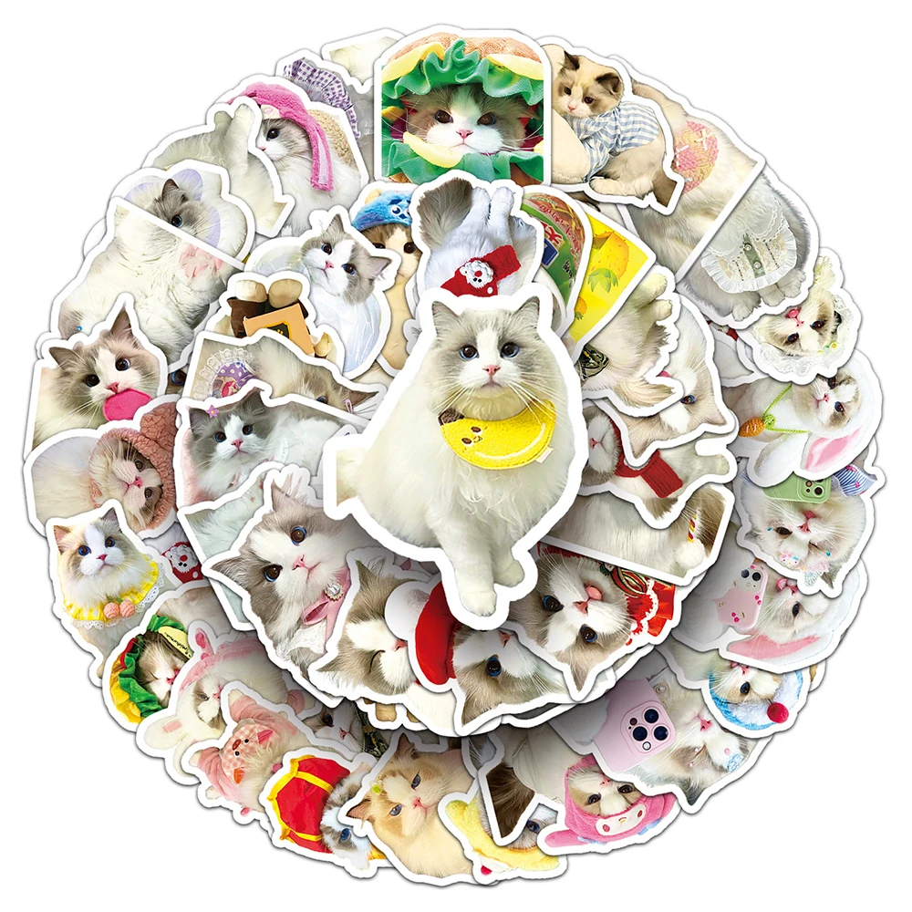 10/30/50PCS Ragdoll Cat Sticker Graffiti Cute Kitten Ins Style Creative Decorative Water Cup Skateboard Phone Case Decal Sticker
10/30/50PCS Ragdoll Cat Sticker Graffiti Cute Kitten Ins Style Creative Decorative Water Cup Skateboard Phone Case Decal Sticker