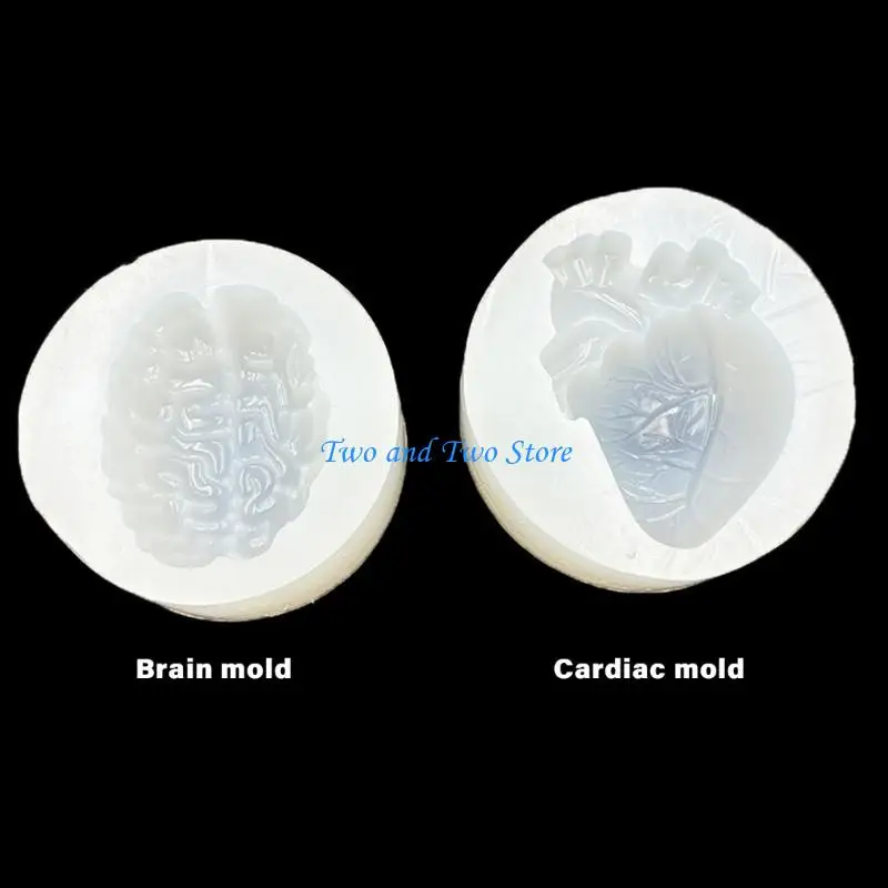 HX6F Realistic Organ Silicone Mold For Medicals Education Art Craft Professional Handmade Jewelry Making Mould
HX6F Realistic Organ Silicone Mold For Medicals Education Art Craft Professional Handmade Jewelry Making Mould
