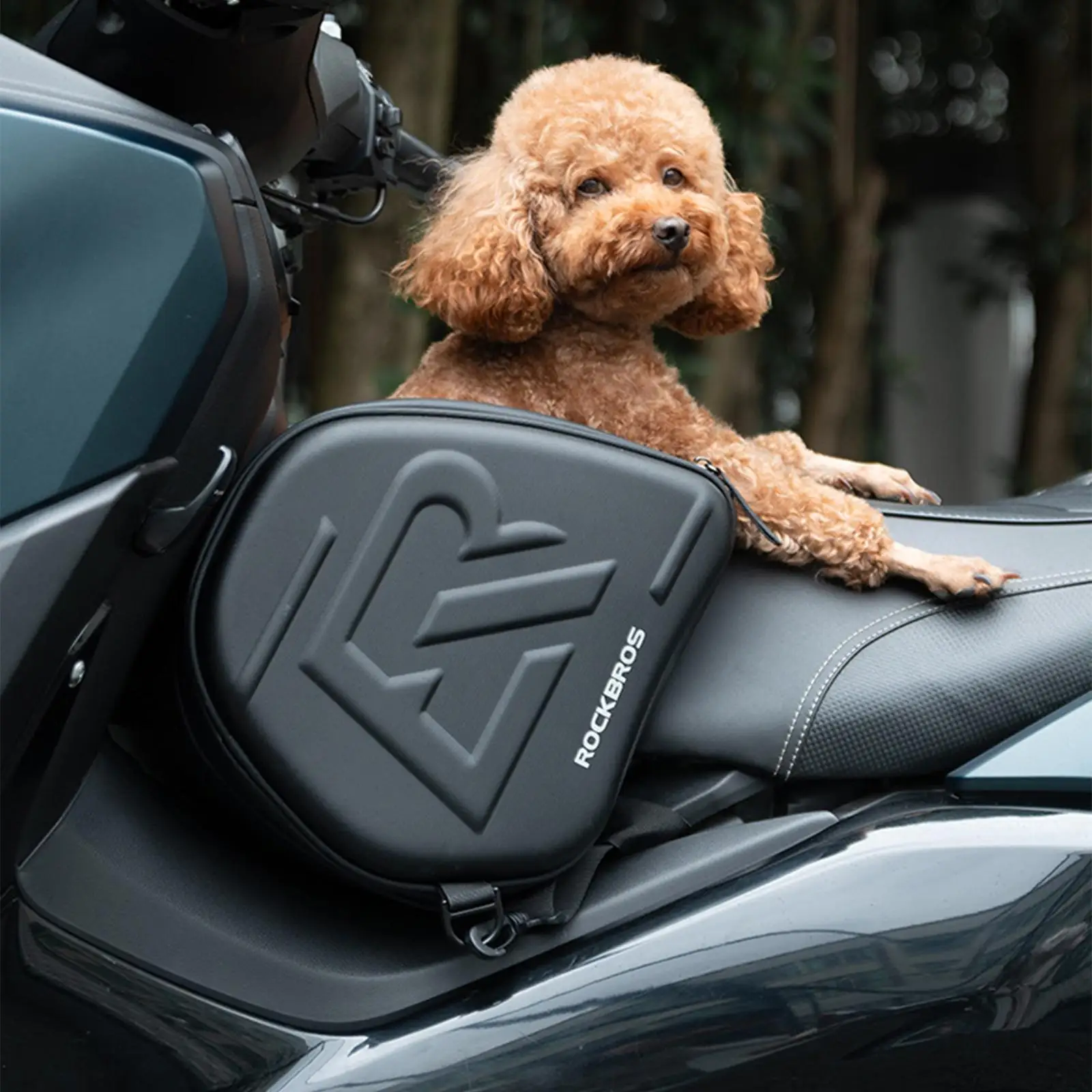 Сумка на бак мотоцикла для хранения багажа, износостойкая, простая установка, аксессуары для мотоциклов, водонепроницаемая для Yamaha Nmax
Сумка на бак мотоцикла для хранения багажа, износостойкая, простая установка, аксессуары для мотоциклов, водонепроницаемая для Yamaha Nmax