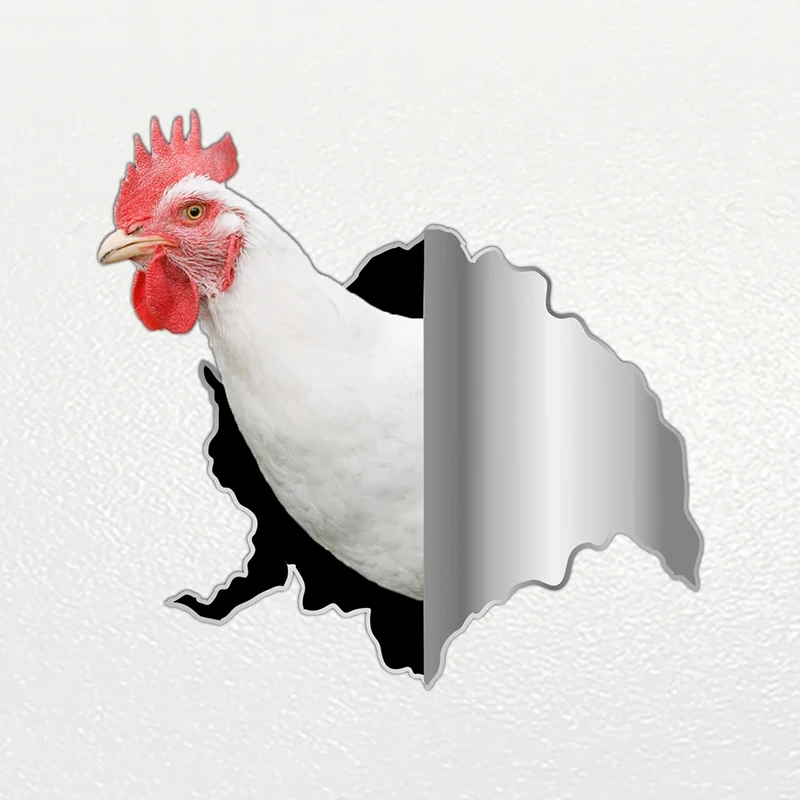 V1067# Car Sticker Farm Chicken Animal Waterproof Vinyl Decal Car Accessories Decor Pegatinas Para Coche
V1067# Car Sticker Farm Chicken Animal Waterproof Vinyl Decal Car Accessories Decor Pegatinas Para Coche