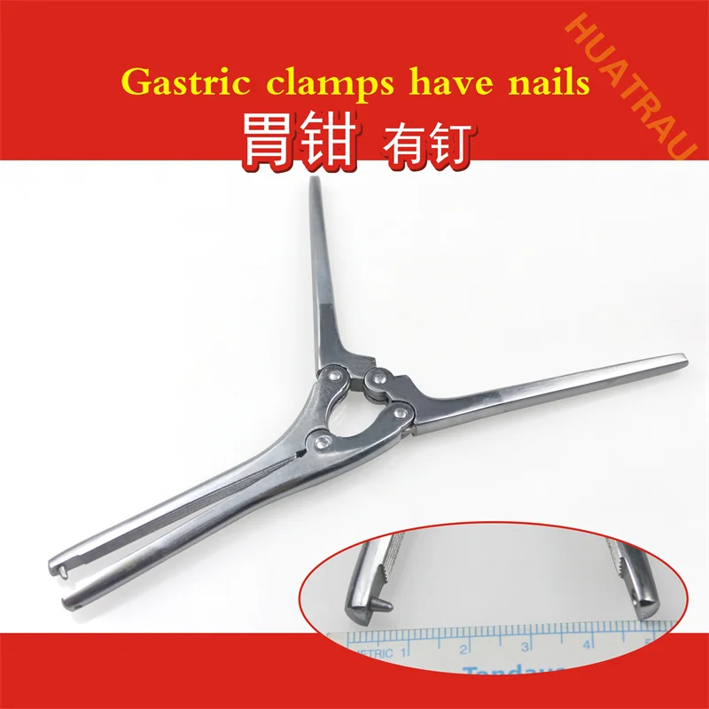 Medical gastric forceps with nails gastric mucosa muscle fixation forceps tissue separation clamps abdominal surgical instrument
Medical gastric forceps with nails gastric mucosa muscle fixation forceps tissue separation clamps abdominal surgical instrument