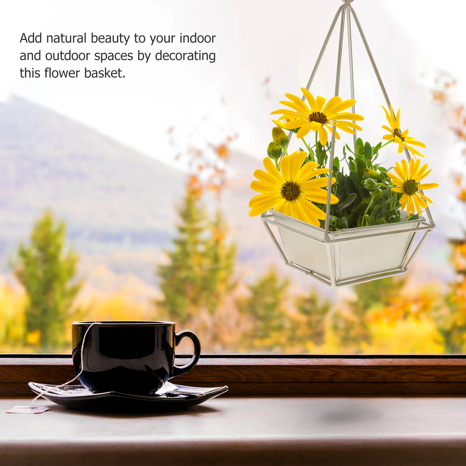 Iron Flower Holder Wall Mounted Hanging Flowerpot Decorative Container for Home Office Plant Arrangement Durable Craftsmanship
Iron Flower Holder Wall Mounted Hanging Flowerpot Decorative Container for Home Office Plant Arrangement Durable Craftsmanship