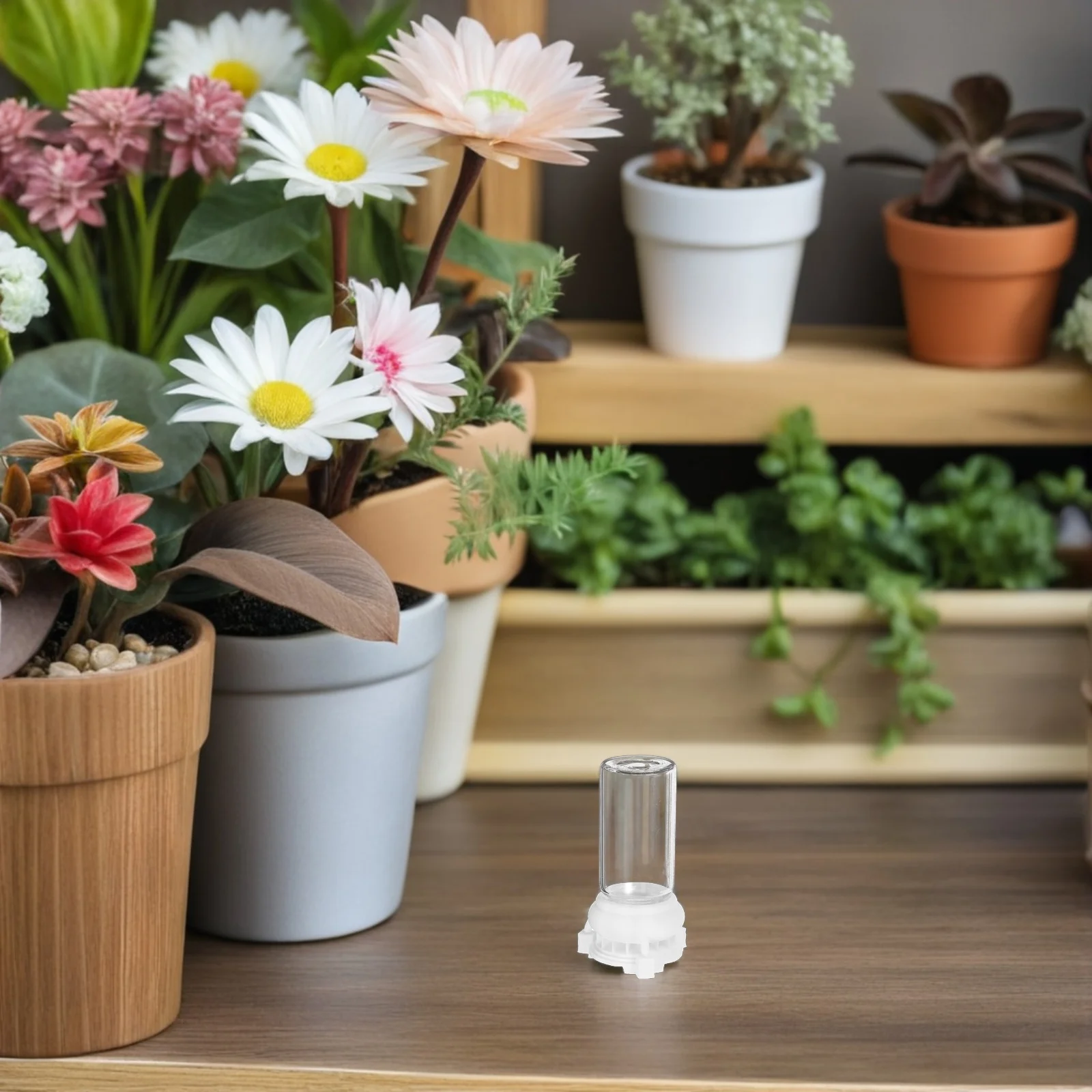 2Pcs Home Ant Watering Feeder Durable Transparent Cups Stable Ant Feeding Boxes for Nest Supplies Water Feeder
2Pcs Home Ant Watering Feeder Durable Transparent Cups Stable Ant Feeding Boxes for Nest Supplies Water Feeder