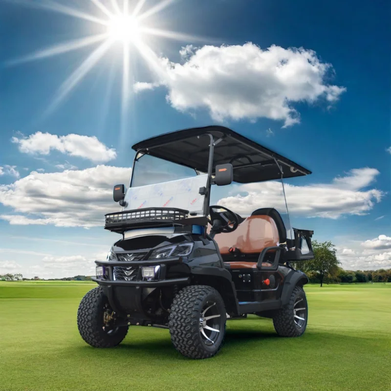 Веселый семейный гольф-автомобиль — безопасный и простой в воде для выходных, развлечения в зернистой сообществе и большого сада
Веселый семейный гольф-автомобиль — безопасный и простой в воде для выходных, развлечения в зернистой сообществе и большого сада