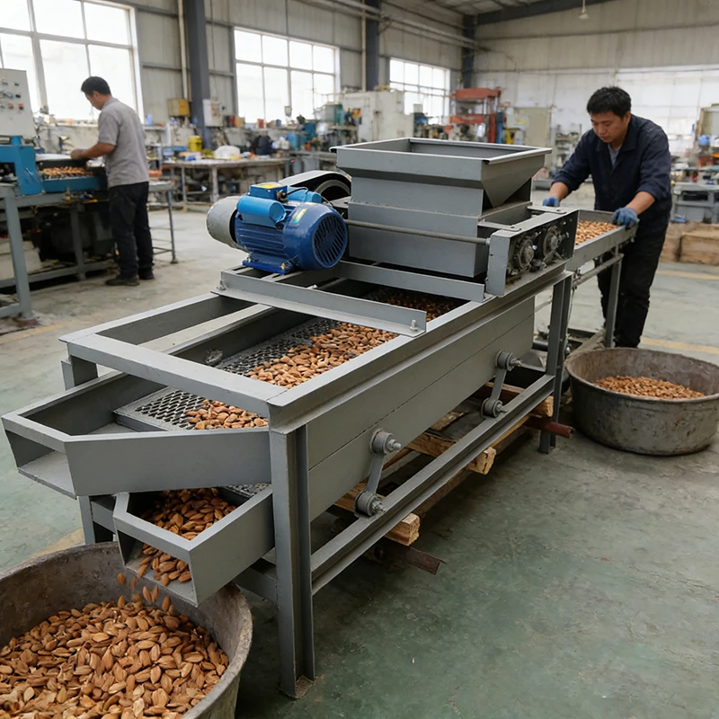 Commercial Factory Price Automatic Nut Cracker Machine Almond Peeler Secondary Cracking for Almond
Commercial Factory Price Automatic Nut Cracker Machine Almond Peeler Secondary Cracking for Almond