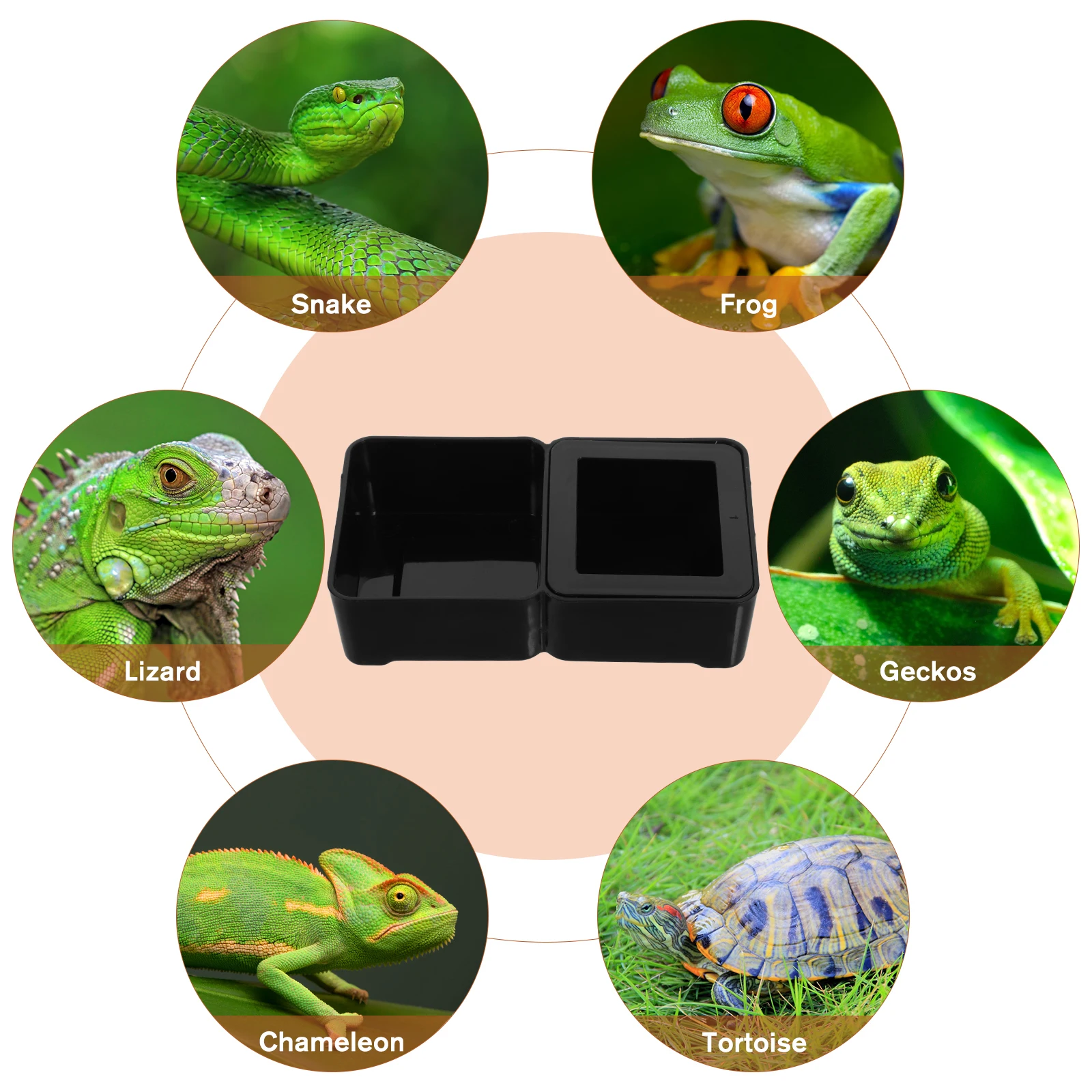 Dual Purpose Reptile Feeder Bowl 2 in 1 Water Dish ABS Lizard Gecko Tank Accessory Space Saving Chameleon Beard Dragon Worm
Dual Purpose Reptile Feeder Bowl 2 in 1 Water Dish ABS Lizard Gecko Tank Accessory Space Saving Chameleon Beard Dragon Worm