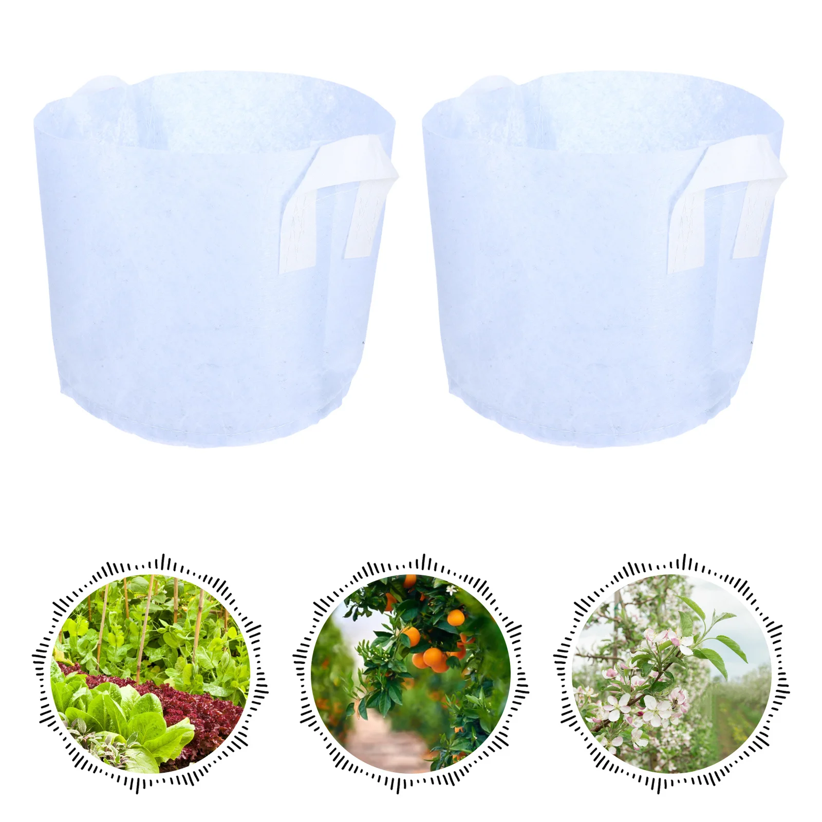 10pcs Planting Bags Non-Woven Fabric Grow Bags For Garden Nursery Cultivation Reusable Fabric Pots With Handles Vegetable Flower
10pcs Planting Bags Non-Woven Fabric Grow Bags For Garden Nursery Cultivation Reusable Fabric Pots With Handles Vegetable Flower