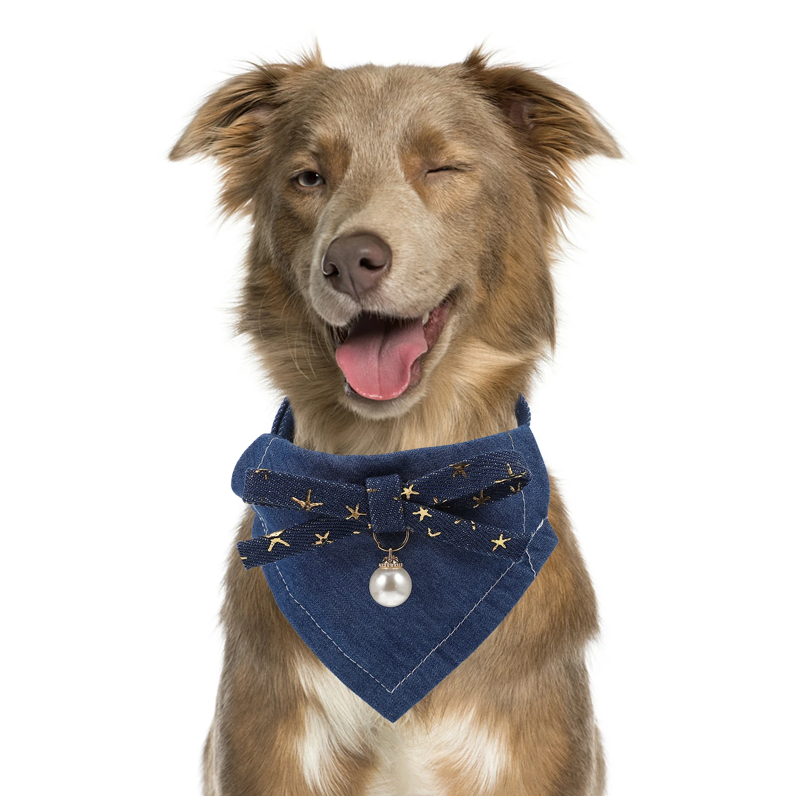 B Scarf Cat Bib Puppy Saliva Towel Collar Adjustable Decorative Puppy Towel Neck Decor Large Dogs
B Scarf Cat Bib Puppy Saliva Towel Collar Adjustable Decorative Puppy Towel Neck Decor Large Dogs