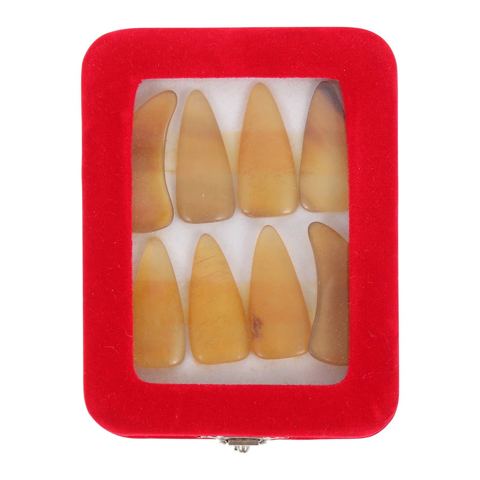 Fake Nails Medium Size Color Sturdy Finger Protectors Stringed Instrument Accessories Birthday Gift Learn
Fake Nails Medium Size Color Sturdy Finger Protectors Stringed Instrument Accessories Birthday Gift Learn