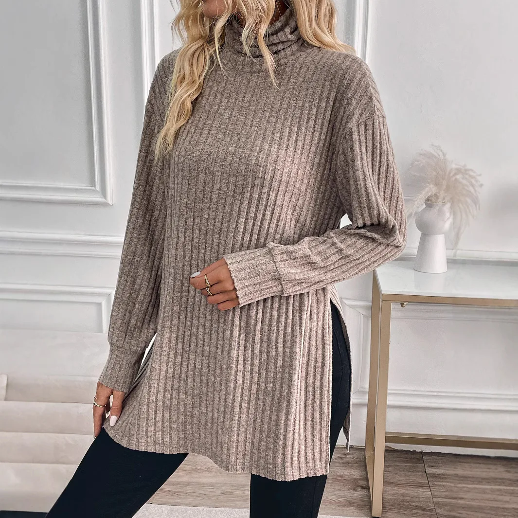 New Autumn And Winter Solid Color Turtleneck Split Pit Strip Loose T-shirt Top DFY8684
New Autumn And Winter Solid Color Turtleneck Split Pit Strip Loose T-shirt Top DFY8684