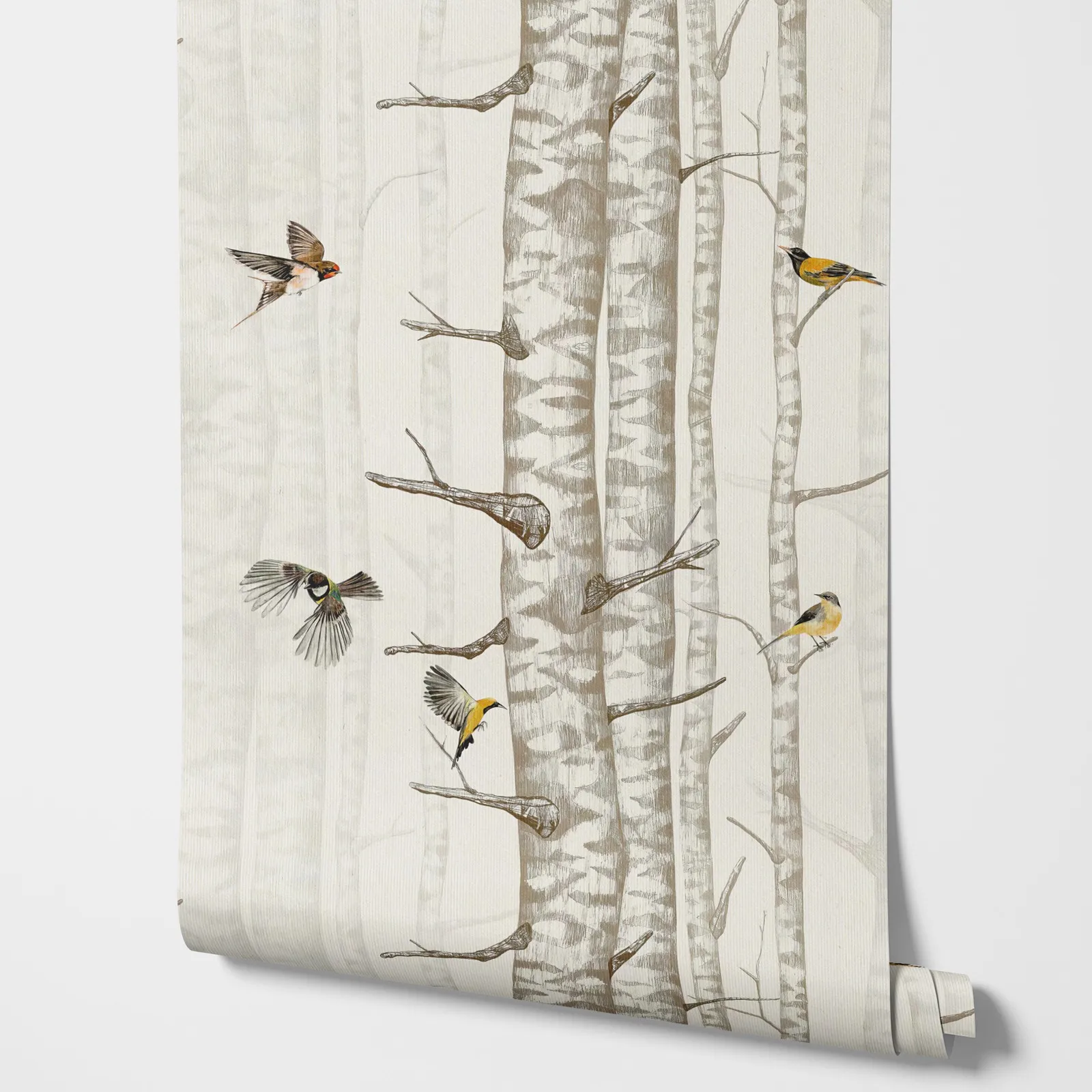 Birch Tree Wallpaper with various Birds flying in Beige color, Warm style Birds Wall paper flying in birch forest
Birch Tree Wallpaper with various Birds flying in Beige color, Warm style Birds Wall paper flying in birch forest