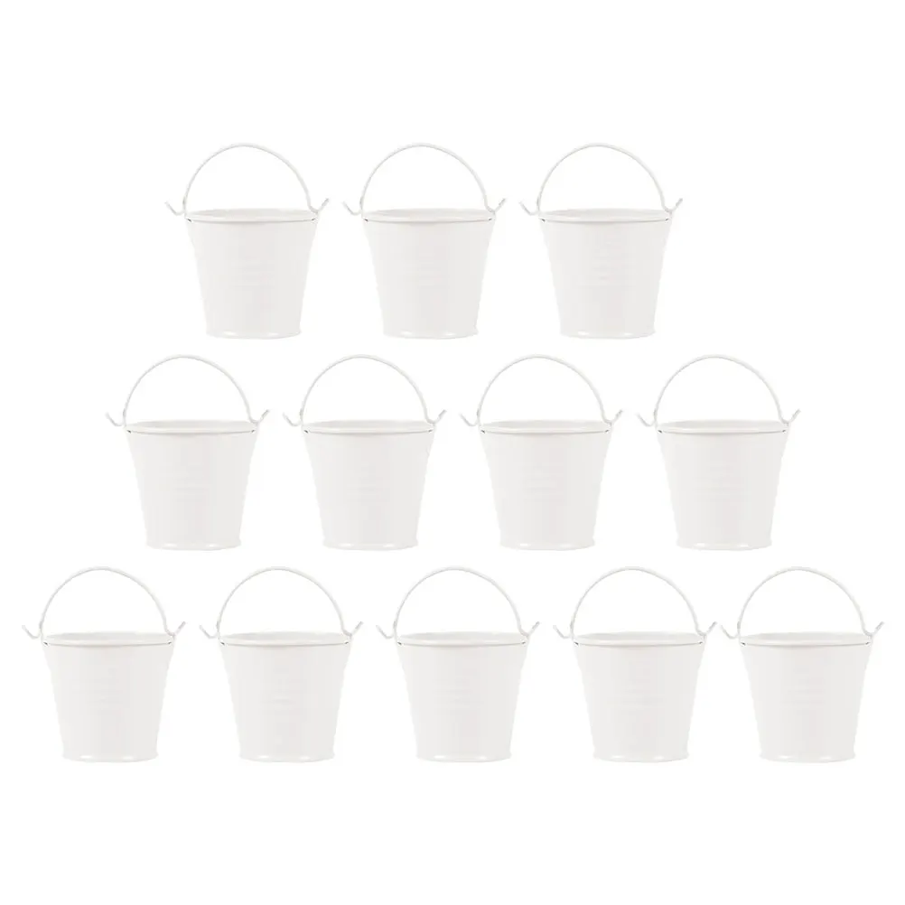 12pcs Small Iron Bucket Portable Child Craft Tin Pails Barrel Planter Succulent Home Decoration Garden Metal
12pcs Small Iron Bucket Portable Child Craft Tin Pails Barrel Planter Succulent Home Decoration Garden Metal