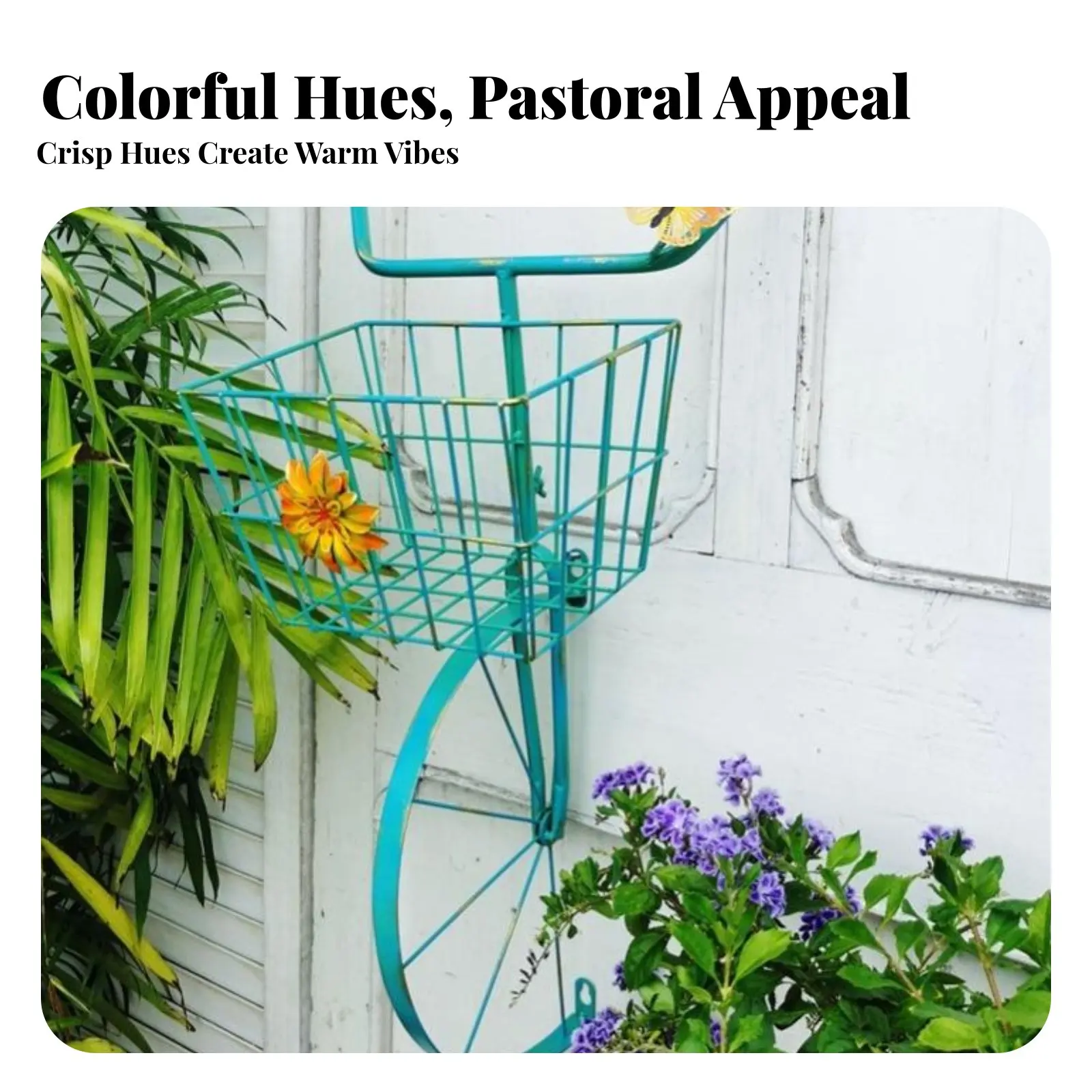 Pedal-Powered vehicleShaped Flower Pot Rack Wrought Iron Appearance Wall Planter Vintage Look Indoor & Outdoor Use for Gardeners
Pedal-Powered vehicleShaped Flower Pot Rack Wrought Iron Appearance Wall Planter Vintage Look Indoor & Outdoor Use for Gardeners