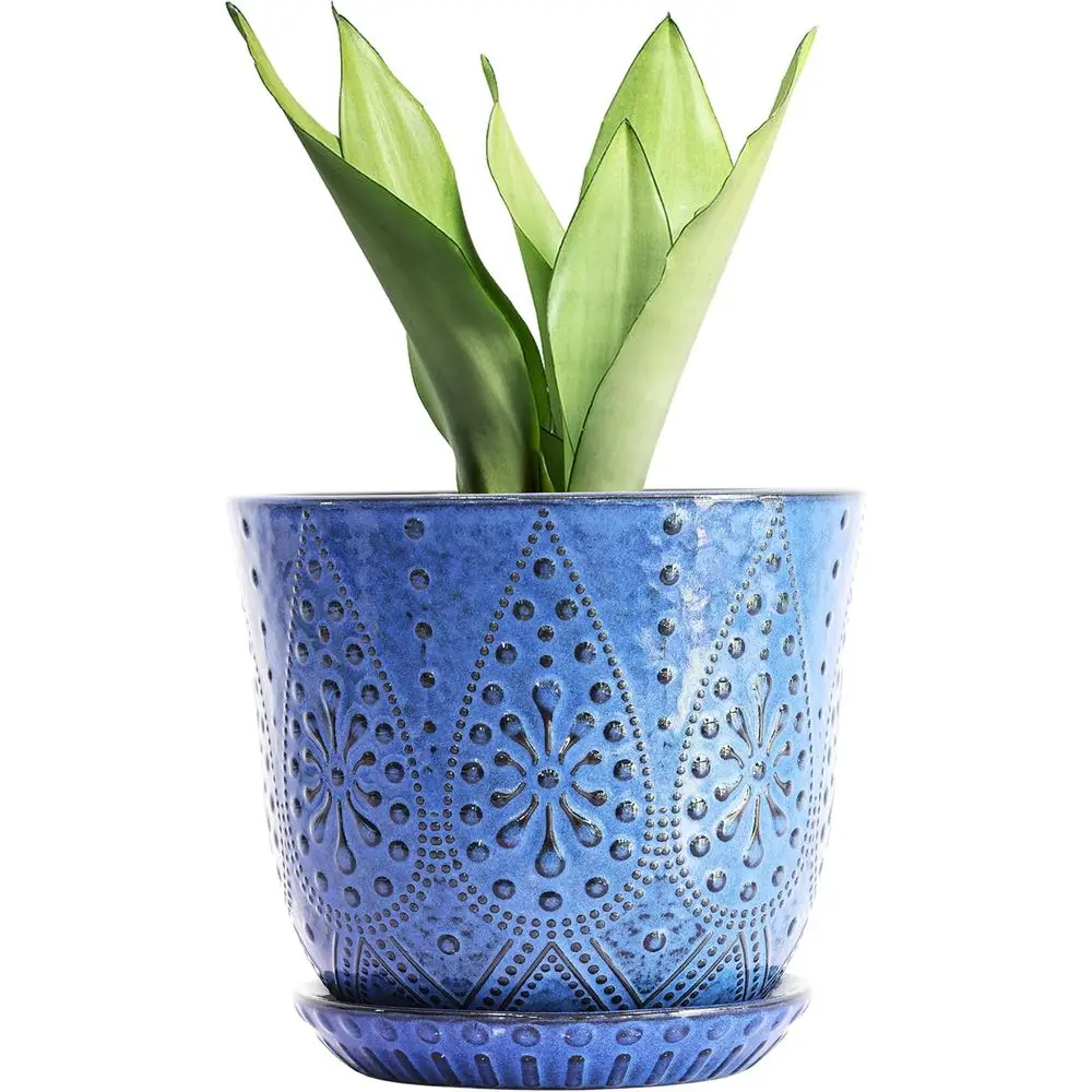 10 Inch Plant Pot with Drainage Holes and Saucer for Indoor and Outdoor Use
10 Inch Plant Pot with Drainage Holes and Saucer for Indoor and Outdoor Use