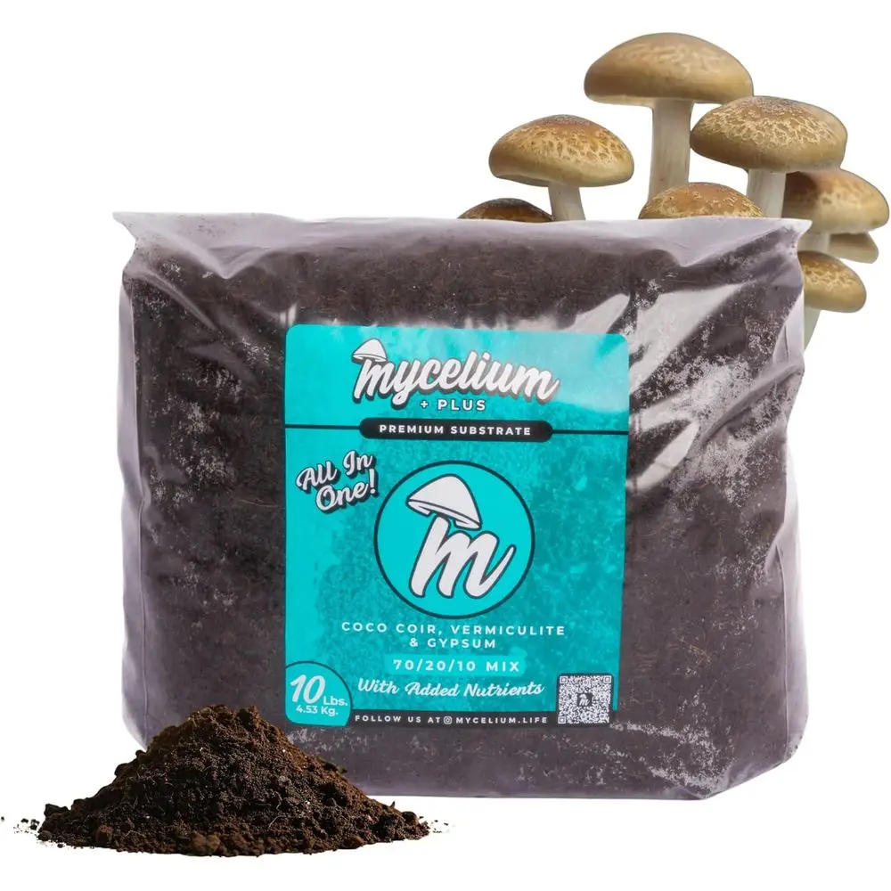 Субстрат для выращивания грибов Plus CVG | Органическая смесь 10 фунтов с кокосовым волокном, вермикулитом, гипсом и усилителем роста растений | Предварительно стерилизованный или незамороженный
Субстрат для выращивания грибов Plus CVG | Органическая смесь 10 фунтов с кокосовым волокном, вермикулитом, гипсом и усилителем роста растений | Предварительно стерилизованный или незамороженный