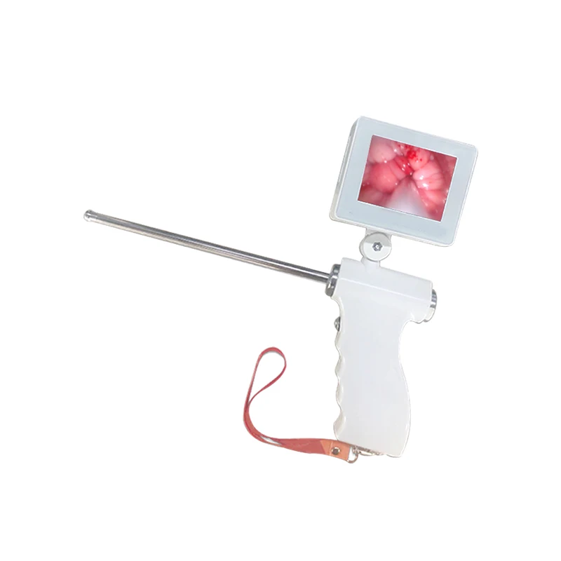 Beiteshuang large size canine visual insemination for dog animal endoscope semen sperm veterinary instrument
Beiteshuang large size canine visual insemination for dog animal endoscope semen sperm veterinary instrument