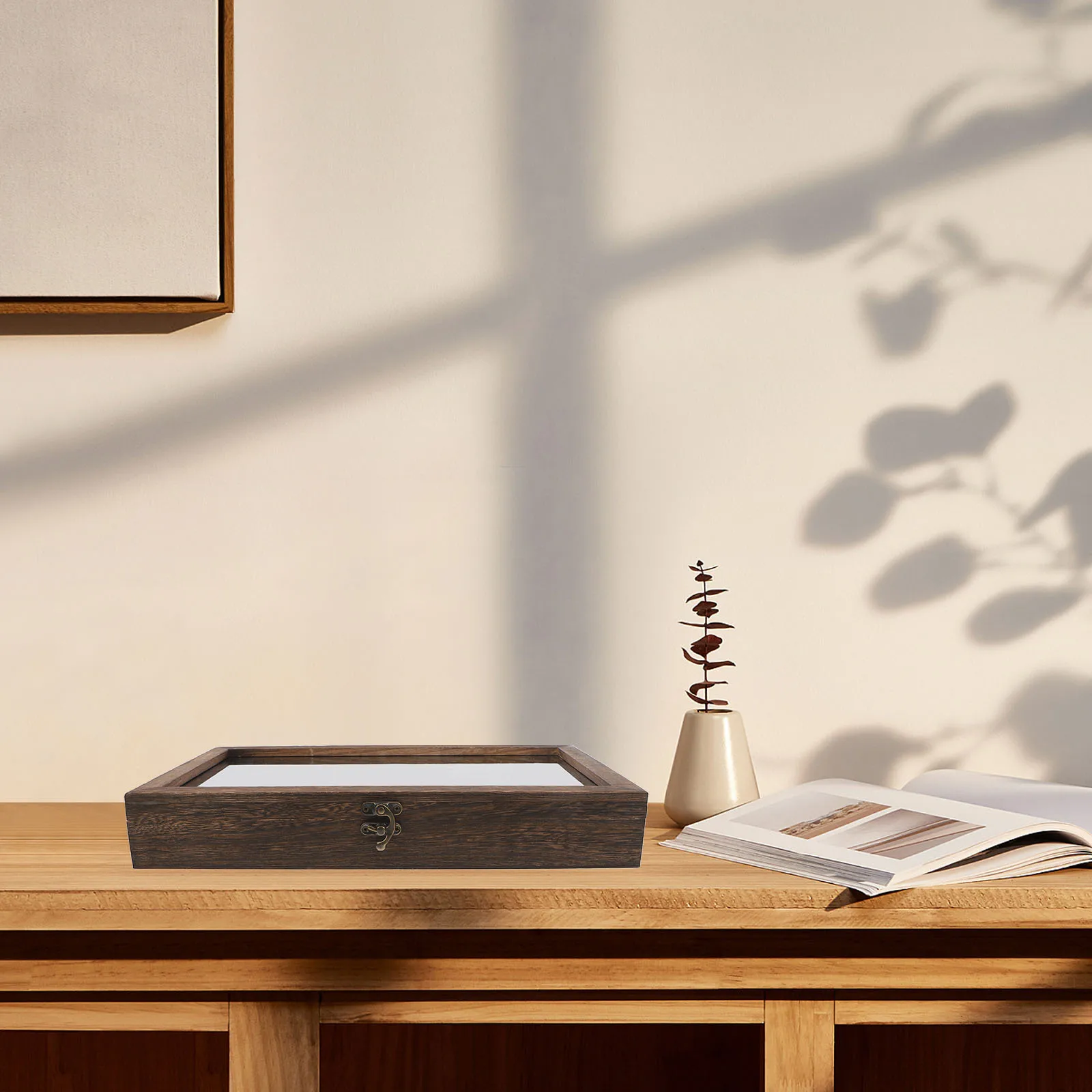 Insect Display Box Case for Rocks Butterfly Glasses Crystal Specimen Wooden Collectibles Organizer
Insect Display Box Case for Rocks Butterfly Glasses Crystal Specimen Wooden Collectibles Organizer