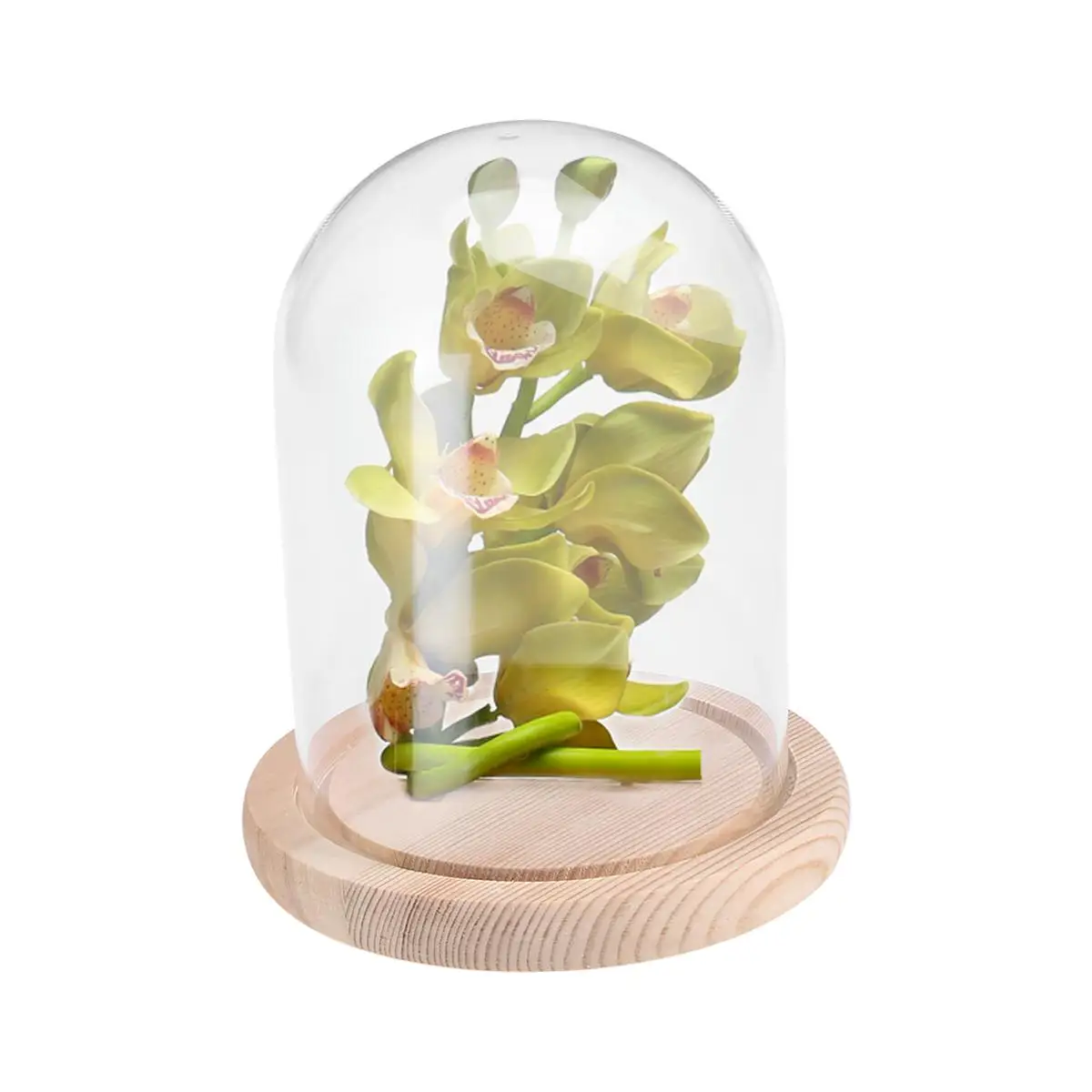 9x12cm Glass Dome Cover for Flower Storage Portable Transparent Bell Jar DIY Craft Decoration Storage Bottle Container
9x12cm Glass Dome Cover for Flower Storage Portable Transparent Bell Jar DIY Craft Decoration Storage Bottle Container