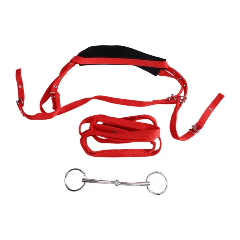 ABHS-Equestrian Horse Bridle Rein Harness With Adjustable Design And High-Quality Materials Featuring Multiple Buckles
ABHS-Equestrian Horse Bridle Rein Harness With Adjustable Design And High-Quality Materials Featuring Multiple Buckles