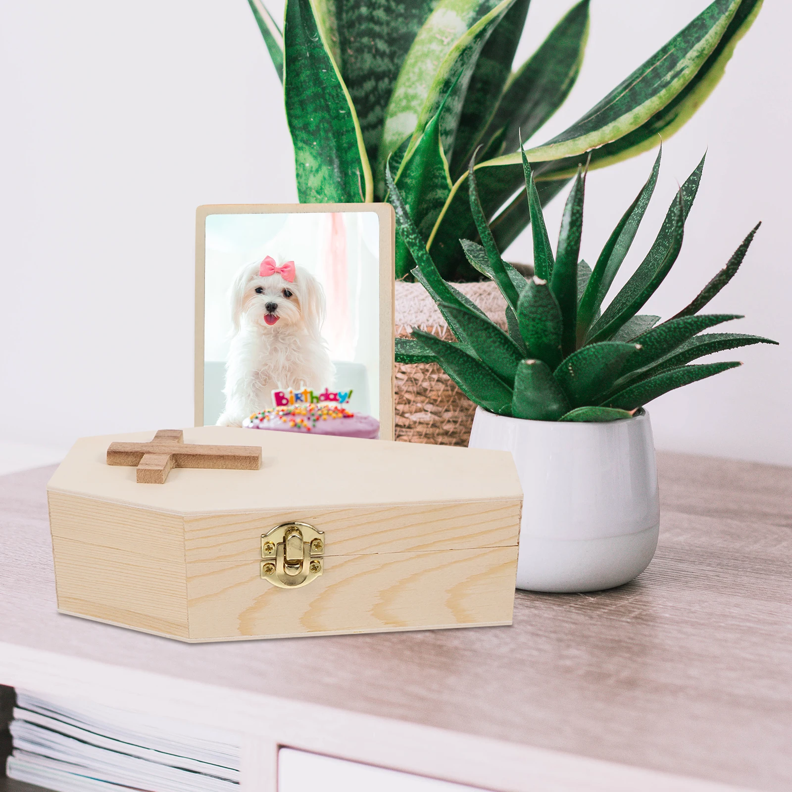 Coffin Necklace Organizer Candy Box Beige Wood Unfinished Small Coffin Shaped Jewelry Storage Craft Box Multifunctional Home
Coffin Necklace Organizer Candy Box Beige Wood Unfinished Small Coffin Shaped Jewelry Storage Craft Box Multifunctional Home