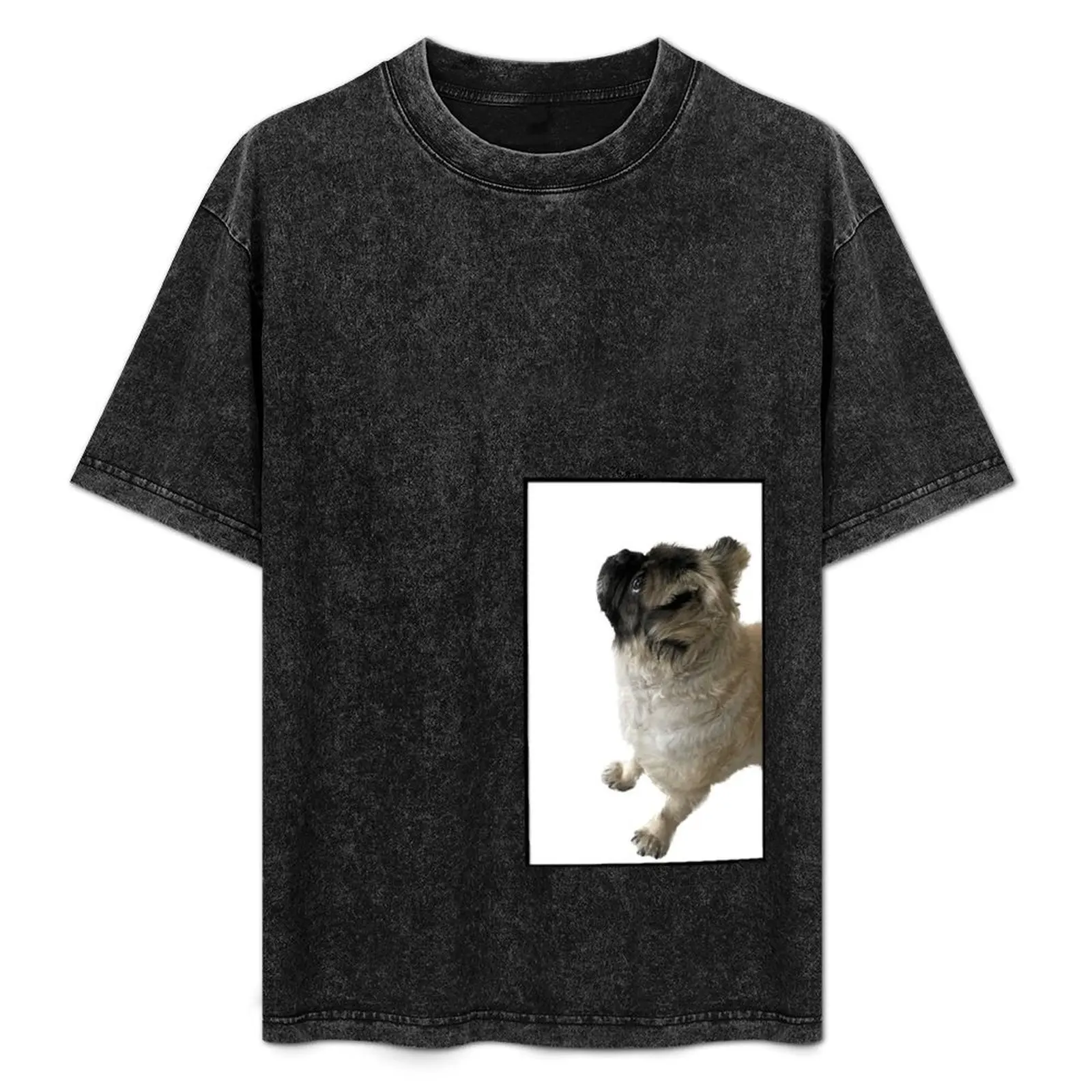 Freddie T-Shirt Street Style Casual Tee Shirt
Freddie T-Shirt Street Style Casual Tee Shirt
