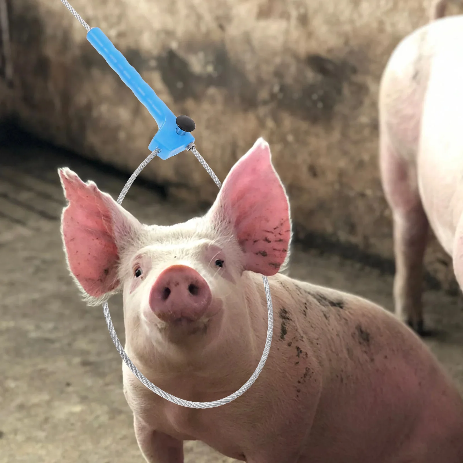 Portable Pig Catcher Durable Metal Plastic Material Grasp Tool Control Pole Snare Holder Farm Accessory Pet Supplies
Portable Pig Catcher Durable Metal Plastic Material Grasp Tool Control Pole Snare Holder Farm Accessory Pet Supplies