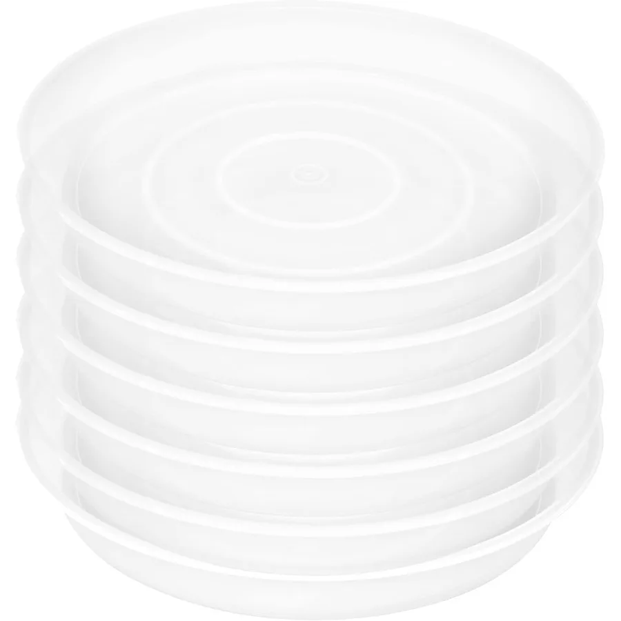 6 Pack of 8 inch Plant Saucer Clear Heavy Duty Plastic Plant Water Tray 8 inch Round Flower Plant Saucers for Indoors No Holes
6 Pack of 8 inch Plant Saucer Clear Heavy Duty Plastic Plant Water Tray 8 inch Round Flower Plant Saucers for Indoors No Holes