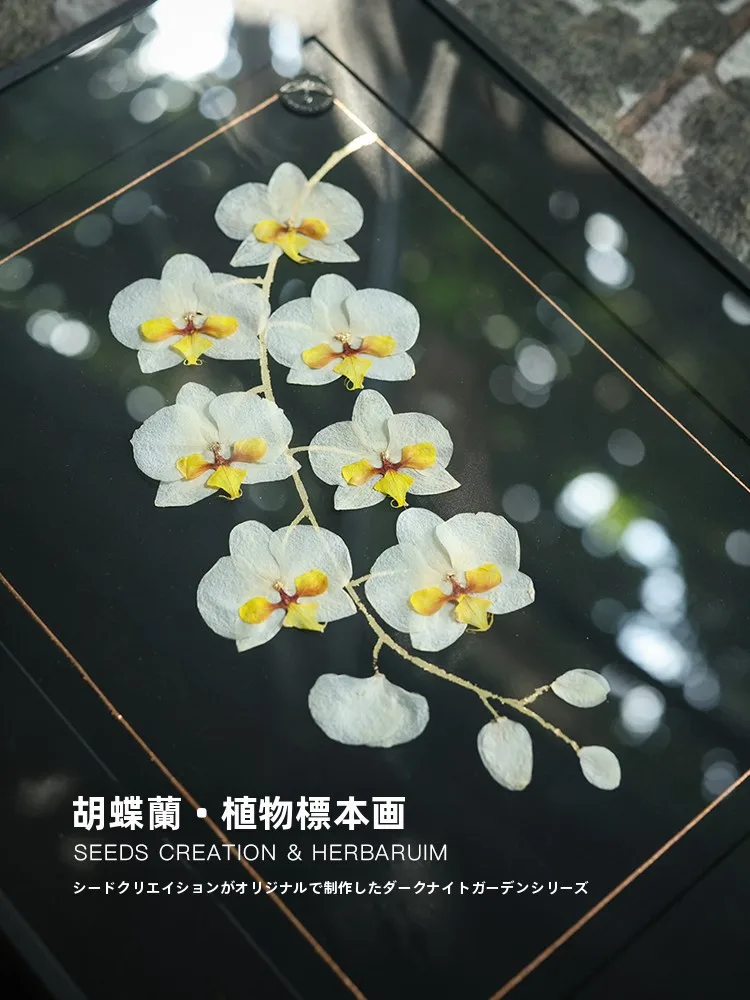 Orchid Herbarium Art Decorative Painting Sofa High-End Feeling Mother's Day Gift Frame Mounted Plant Floral Artwork
Orchid Herbarium Art Decorative Painting Sofa High-End Feeling Mother's Day Gift Frame Mounted Plant Floral Artwork