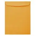 Large Open End Catalog Envelopes, 12 x 15 1/2in, Brown Kraft Manila, 25 per Pack
Large Open End Catalog Envelopes, 12 x 15 1/2in, Brown Kraft Manila, 25 per Pack