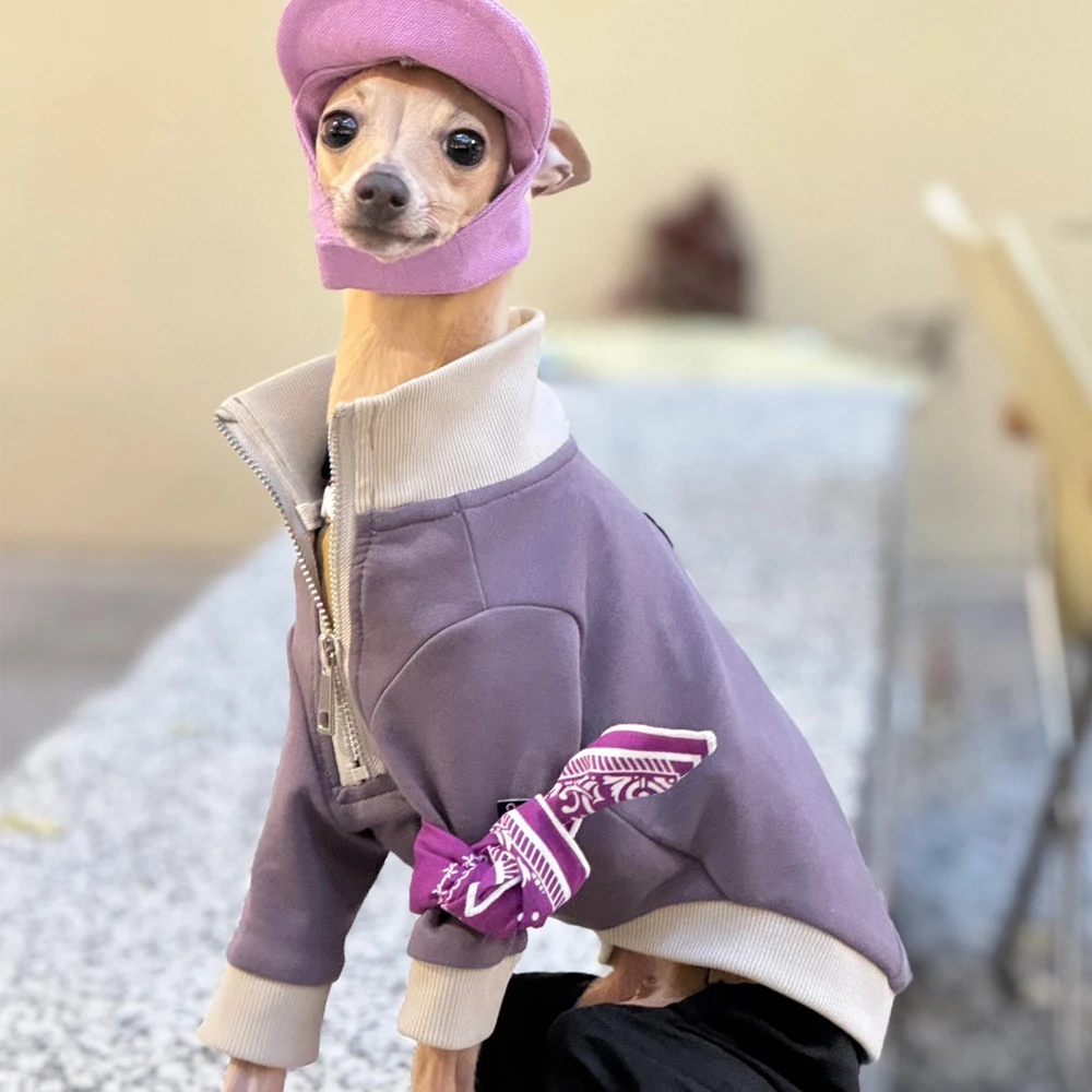 Модная итальянская борзая весна и осень теплая фиолетовая куртка на молнии для уиппетов средних собак длинное пальто без рукавов зимой
Модная итальянская борзая весна и осень теплая фиолетовая куртка на молнии для уиппетов средних собак длинное пальто без рукавов зимой