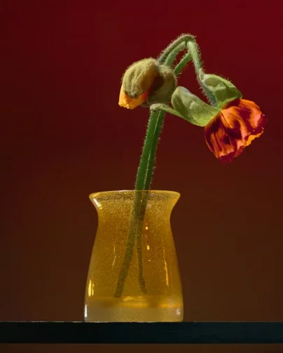 Портативное устройство для светотерапии с красным светом, аппарат для ухода за кожей лица и тела с алмазной насадкой для глубокой очистки и омоложения кожи
Портативное устройство для светотерапии с красным светом, аппарат для ухода за кожей лица и тела с алмазной насадкой для глубокой очистки и омоложения кожи