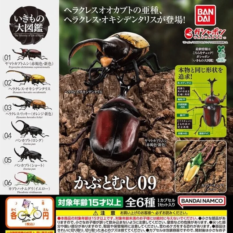 In Stock Genuine Bandai Gashapon Biological Encyclopedia Dynastes Hercules Rhinoceros Beetle Pocket Action Figure Model Ornament
In Stock Genuine Bandai Gashapon Biological Encyclopedia Dynastes Hercules Rhinoceros Beetle Pocket Action Figure Model Ornament