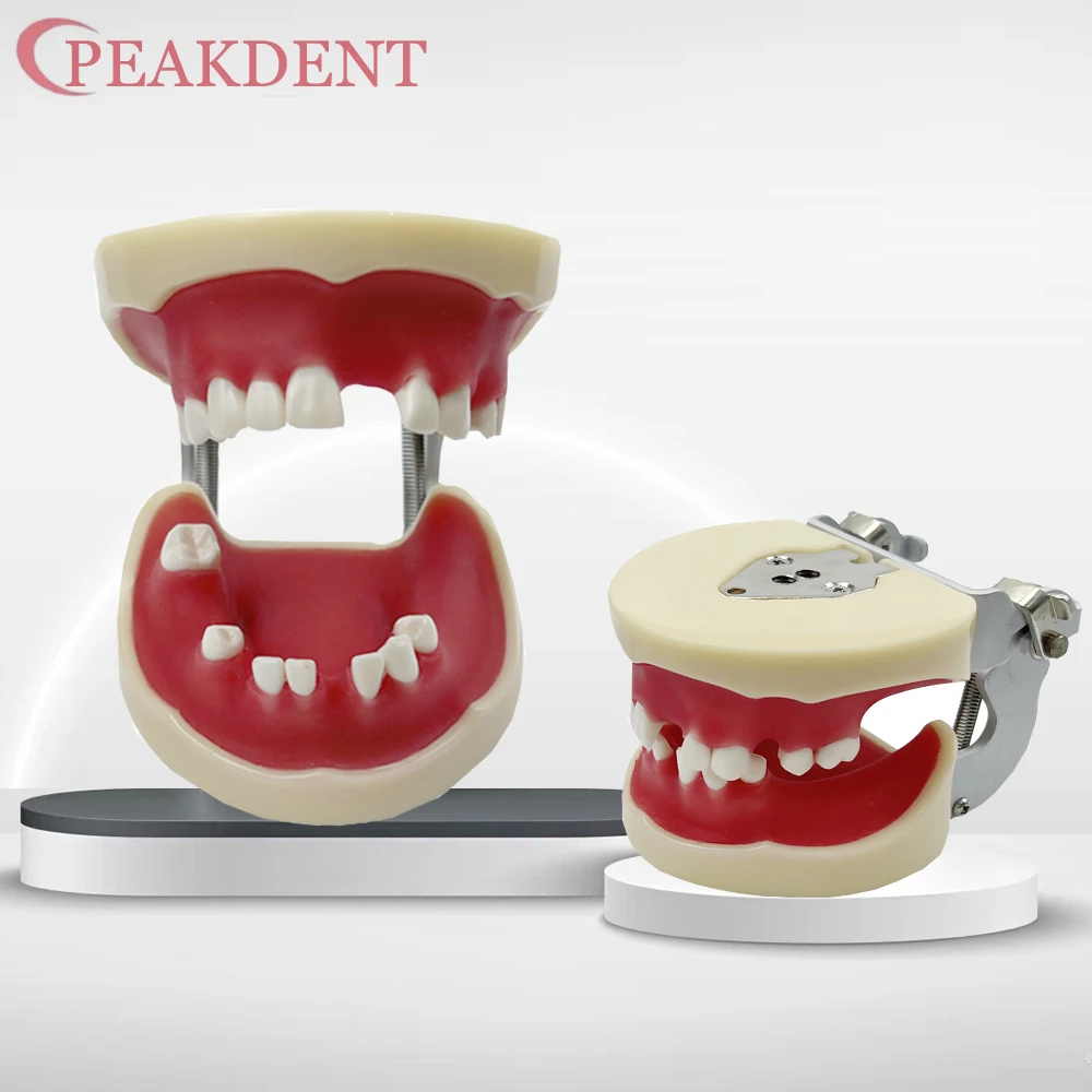 Модель практики безбавляющего зубного имплантата, обучающий дисплей для восстановления зубов, стоматолог, студенческая практика, обучающие инструменты
Модель практики безбавляющего зубного имплантата, обучающий дисплей для восстановления зубов, стоматолог, студенческая практика, обучающие инструменты