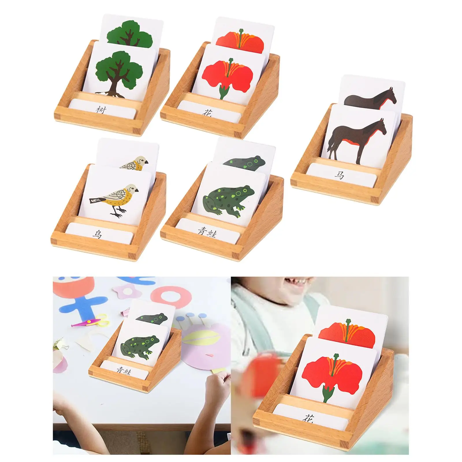 Hand Painted Animal Growth Playset Educational Learning Toys Biology Action Toys
Hand Painted Animal Growth Playset Educational Learning Toys Biology Action Toys