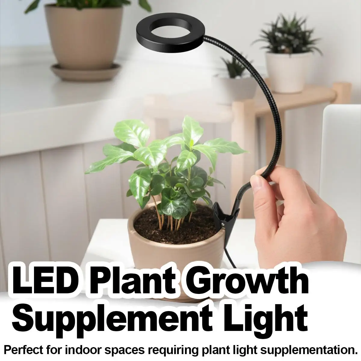Flexible LED Grow Light Angel Ring Full Spectrum USB Dimmable Timer Phyto Lamp For Pot Plants Indoor Garden Succulents Height
Flexible LED Grow Light Angel Ring Full Spectrum USB Dimmable Timer Phyto Lamp For Pot Plants Indoor Garden Succulents Height