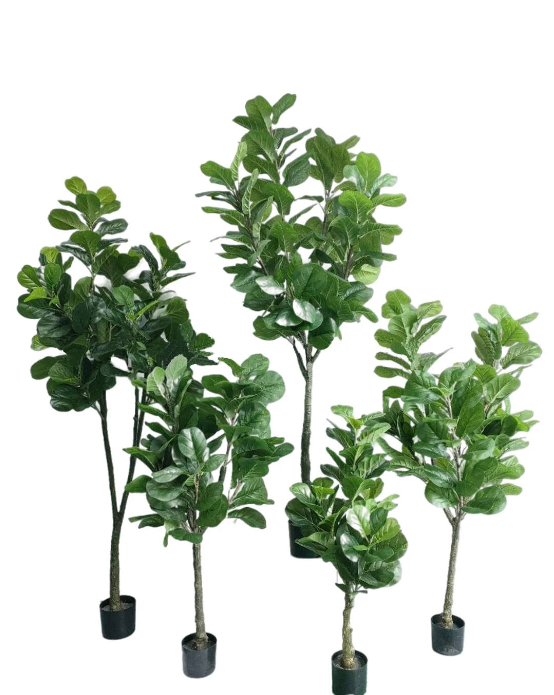 Large Artificial Tropical Banyan Tree, Potted Fake Piano Leaf, Banyan Tree, Suitable for Home, Garden, Office, Store Decoration
Large Artificial Tropical Banyan Tree, Potted Fake Piano Leaf, Banyan Tree, Suitable for Home, Garden, Office, Store Decoration