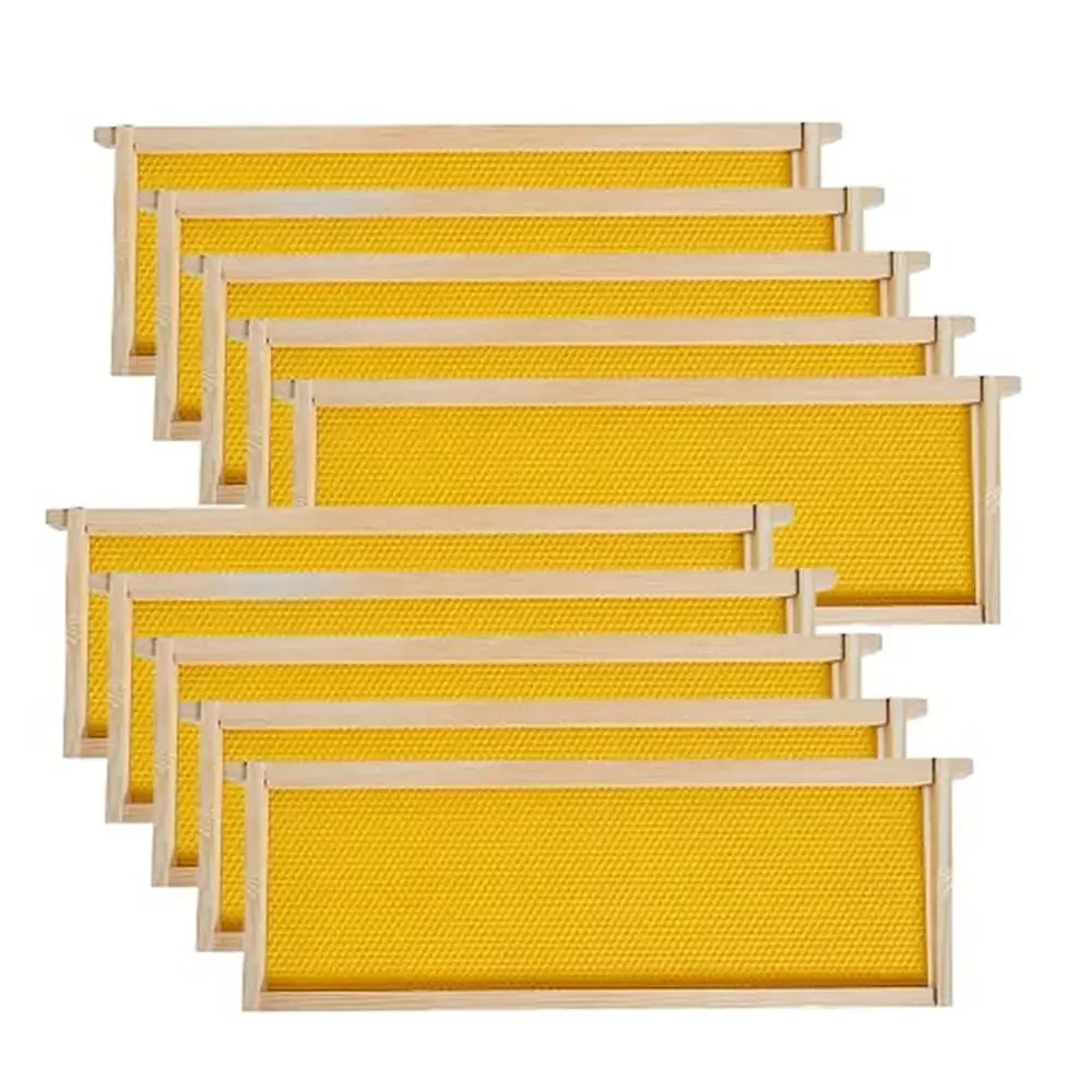 10-Pack Beehive Frames with Beeswax Coated Foundations Pinewood Construction Fits 8/10 Frame Medium Super Box Honey Bee Frames
10-Pack Beehive Frames with Beeswax Coated Foundations Pinewood Construction Fits 8/10 Frame Medium Super Box Honey Bee Frames