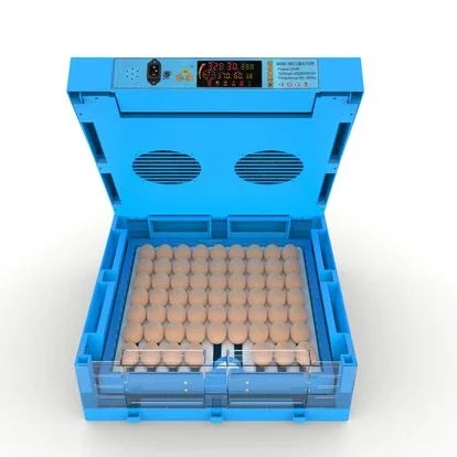 Classic 96 eggs automatic mini incubator chicken and duck incubator small household egg incubator equipment
Classic 96 eggs automatic mini incubator chicken and duck incubator small household egg incubator equipment
