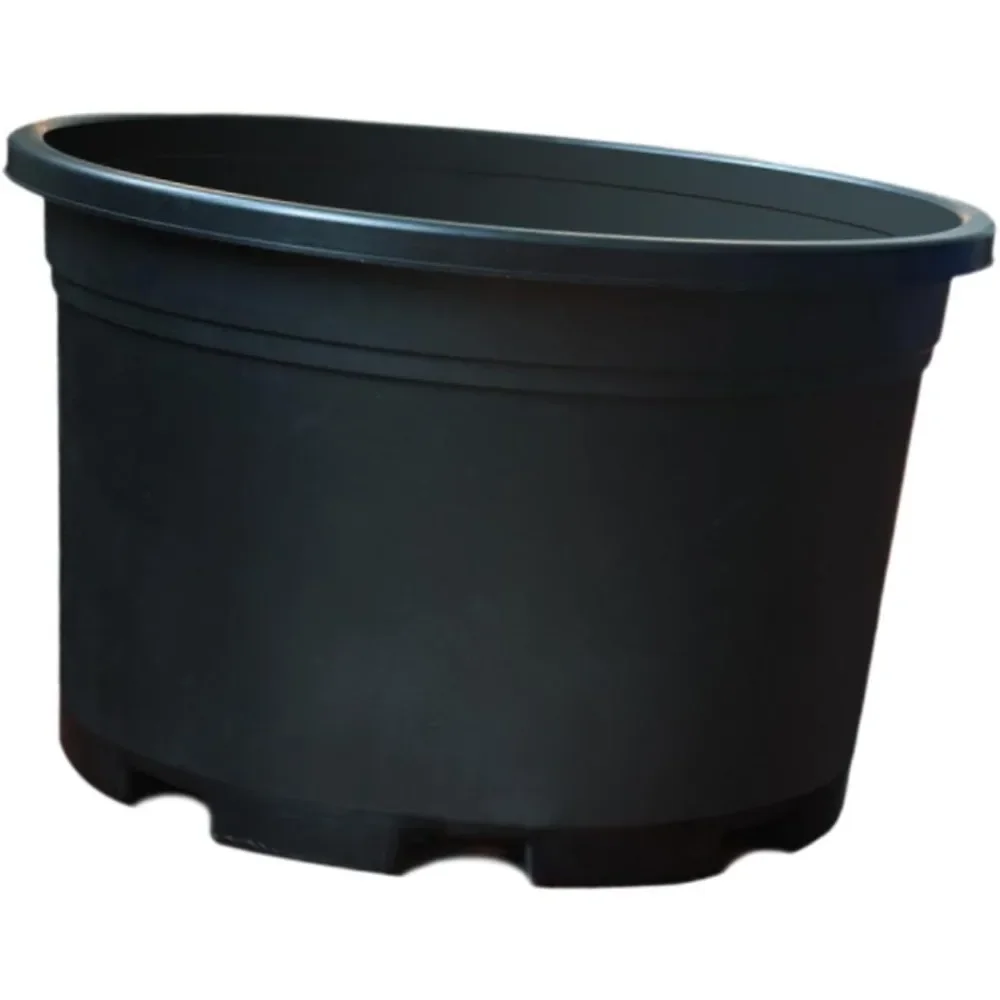 Large Flowerpot Planter with Drainage for Roses Strawberries 56 cm Ideal Gardening
Large Flowerpot Planter with Drainage for Roses Strawberries 56 cm Ideal Gardening