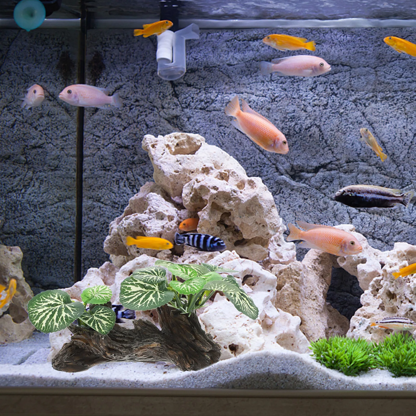 Rainforest Plant Decoration Aquarium Decorations Plants Terrarium Fish Tank Small Fake Resin Reptile Accessories
Rainforest Plant Decoration Aquarium Decorations Plants Terrarium Fish Tank Small Fake Resin Reptile Accessories