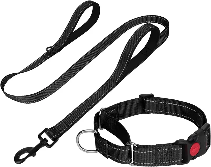 Long Traffic Padded Double Strap for Dogs Hands Free Leash Dog Long Leash for Pet Puppy Accessories Dog Walking
Long Traffic Padded Double Strap for Dogs Hands Free Leash Dog Long Leash for Pet Puppy Accessories Dog Walking