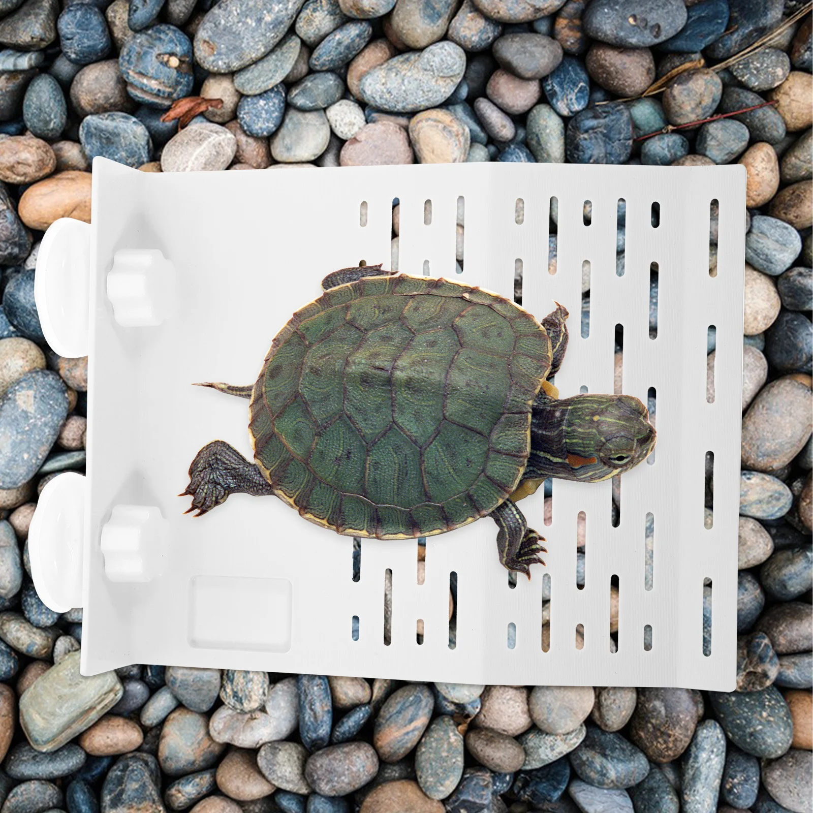 Plastic Turtle Platform Durable Turtle Climb Ramp For Fish Tank Aquarium Reptile Habitat Basking Slope Decor
Plastic Turtle Platform Durable Turtle Climb Ramp For Fish Tank Aquarium Reptile Habitat Basking Slope Decor