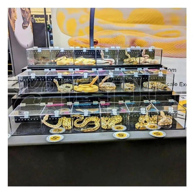 Luxury Modern Crystal Clear Acrylic Terrarium Cabinet Sleek Design for Modern Displays Reptile Enclosure Sleek Pet Cage House
Luxury Modern Crystal Clear Acrylic Terrarium Cabinet Sleek Design for Modern Displays Reptile Enclosure Sleek Pet Cage House