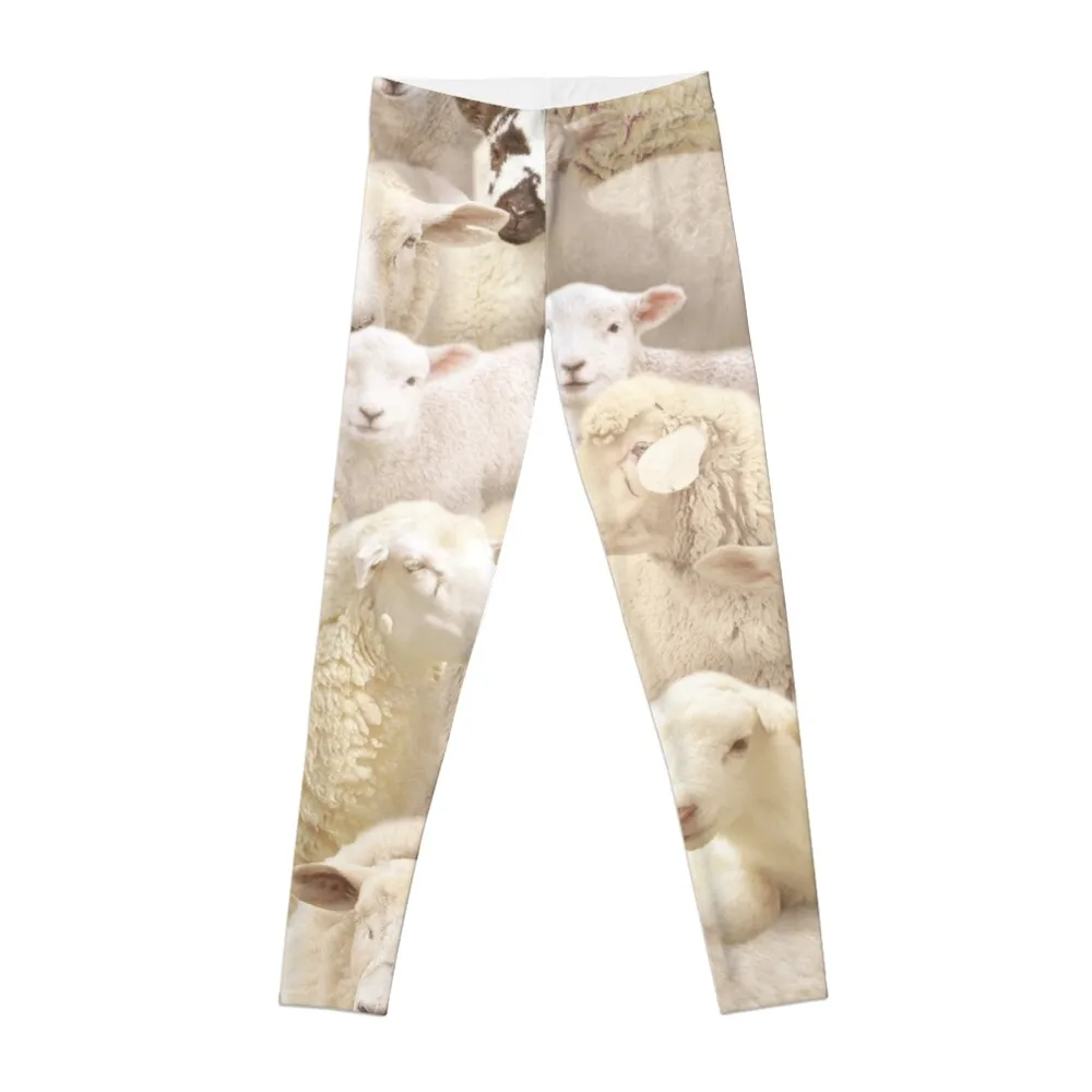 Sheeps Leggings sports woman gym active wear sporty woman gym fitness set gym Womens Leggings
Sheeps Leggings sports woman gym active wear sporty woman gym fitness set gym Womens Leggings