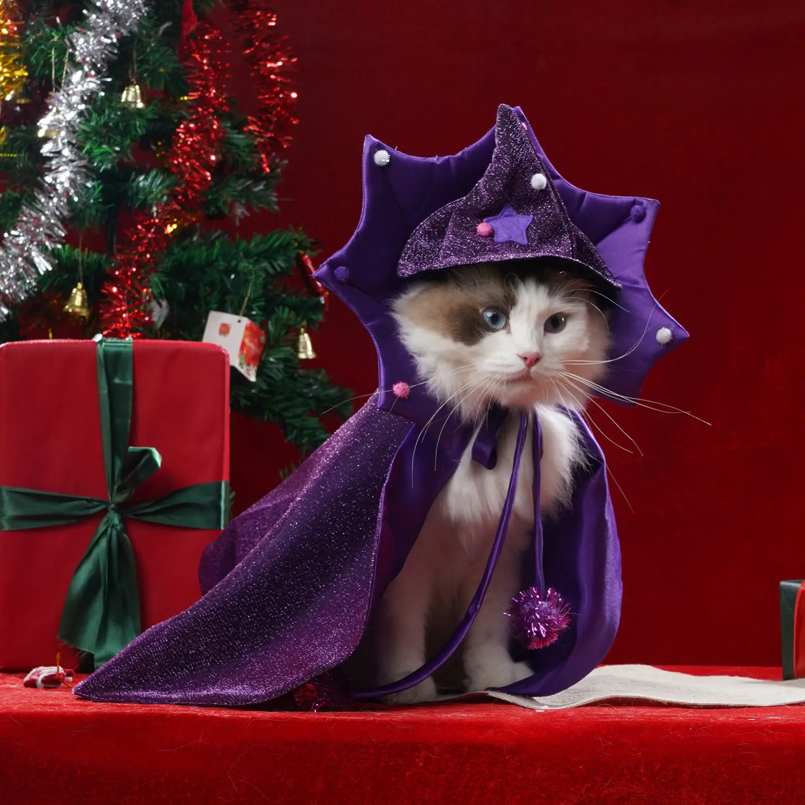 Cute Halloween Pet Witch Costume Puppy Dog Cat Clothes Adjustable Pointed Hat Bat Cape Bell Neckerchief Scarf Holiday Dress-up
Cute Halloween Pet Witch Costume Puppy Dog Cat Clothes Adjustable Pointed Hat Bat Cape Bell Neckerchief Scarf Holiday Dress-up